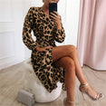 Leopard Loose Long Sleeve Women Chiffon Dress