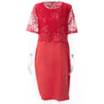 Elegant Lace Women Party Dress