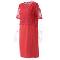 Elegant Lace Women Party Dress