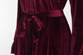 Casual Long Sleeve Velvet Party Dress