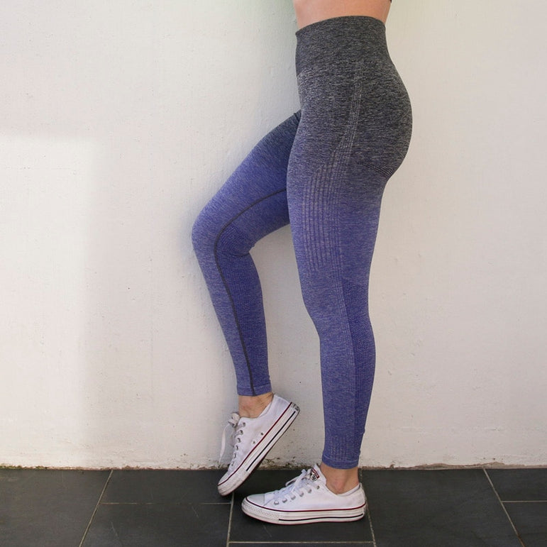 High Waisted Women Ombre Seamless Leggings