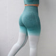 High Waisted Women Ombre Seamless Leggings