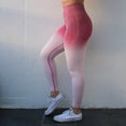 High Waisted Women Ombre Seamless Leggings