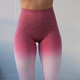 High Waisted Women Ombre Seamless Leggings