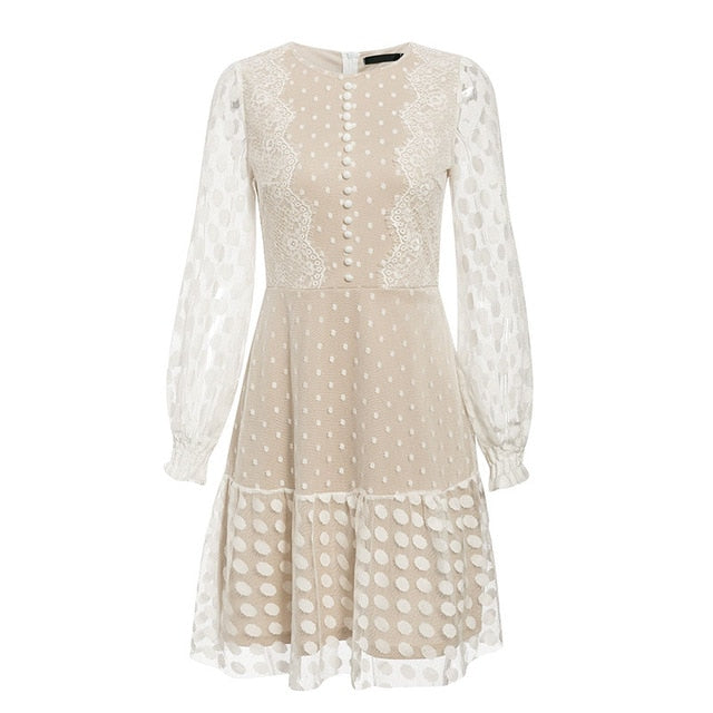 Vintage Polka Dot Winter Mesh Lace Dress