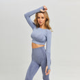 Long Sleeve Crop Top Seamless Yoga Set