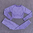 Long Sleeve Crop Top Seamless Yoga Set