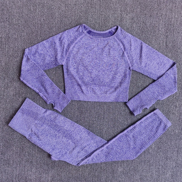 Long Sleeve Crop Top Seamless Yoga Set