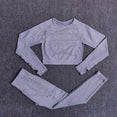 Long Sleeve Crop Top Seamless Yoga Set