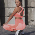 Thickness Gym Running Seamless Yoga Suit