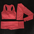 Long Sleeve Women Seamless Yoga Set