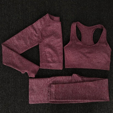 Long Sleeve Women Seamless Yoga Set