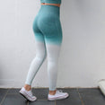 High Waisted Women Ombre Seamless Leggings