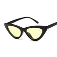 Retro Small Vintage Cateye Sunglasses