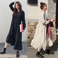 Loose Long Sleeve European Style Women Dress